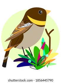 Sparrow bird with circle background illustration. Isolated  on circle color. animal vector.