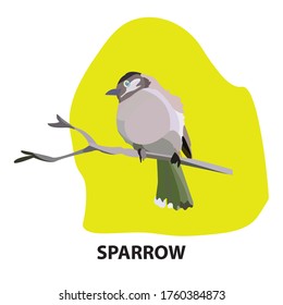 sparrow bird clip art is the graphic arts,refers to pre-made images used to illustrate any medium. 