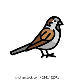 sparrow bird color icon vector. sparrow bird sign. isolated symbol illustration