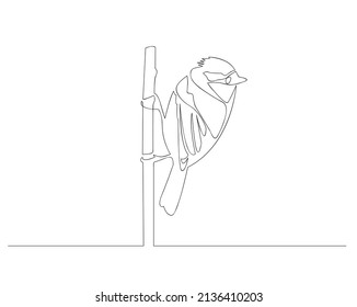 Sparrow bird in continuous line art drawing style. Black linear sketch isolated on white background. Vector illustration