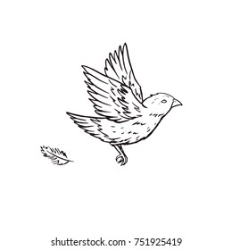 Sparrow bird flying sketch vector illustration