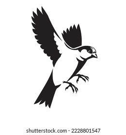 sparrow bird flying vector black and white color vector illustration