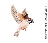Sparrow bird flying with wings spread in flight. Small little wild animal in air, movement. Birdie soaring, hovering. Passer domesticus. Flat vector illustration isolated on white background