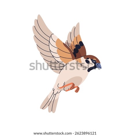 Sparrow bird flying with wings spread in flight. Small little wild animal in air, movement. Birdie soaring, hovering. Passer domesticus. Flat vector illustration isolated on white background