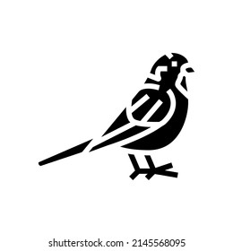 sparrow bird glyph icon vector. sparrow bird sign. isolated contour symbol black illustration