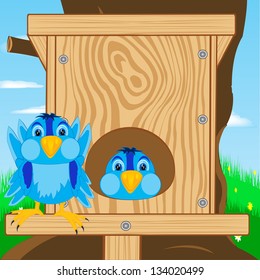Sparrow and bird house on tree