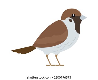 Sparrow Bird Icon. Vector Illustration