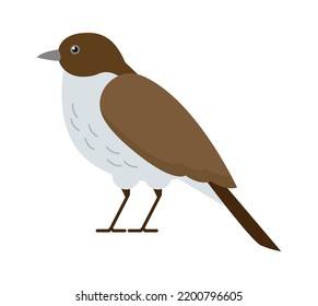 Sparrow Bird icon. Vector illustration