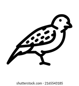 sparrow bird line icon vector. sparrow bird sign. isolated contour symbol black illustration