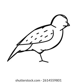 sparrow bird line icon vector. sparrow bird sign. isolated contour symbol black illustration