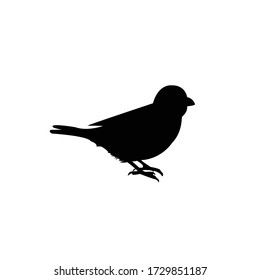 Sparrow Bird Silhouette, Animal Vector Illustration.