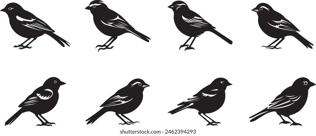 Sparrow Bird Silhouette Set Isolated On White Background