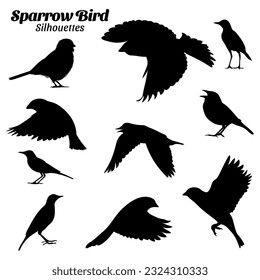 Sparrow bird silhouette vector illustration set.