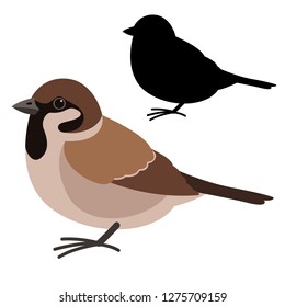 sparrow bird , vector illustration , flat style ,black silhouette