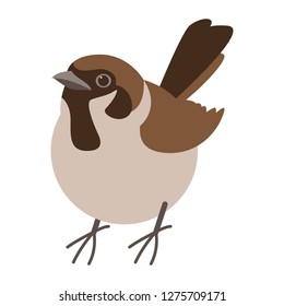 スズメの鳥 ベクターイラスト フラットスタイル 正面図 のベクター画像素材 ロイヤリティフリー Shutterstock