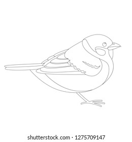 sparrow bird , vector illustration ,  lining draw , profile view
