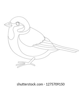 sparrow bird , vector illustration ,  lining draw , profile view