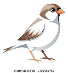 gorrión pájaros color estilo archivo de Vector blanco
