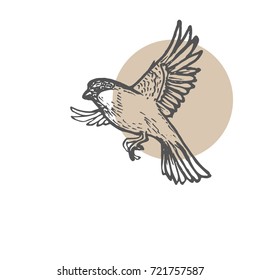 Sparrow Birds Sketch Background. Hand Drawn Painting Illustration. Line Art Vector Drawing. Eps-8