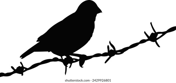 a sparrow body silhouette vector
