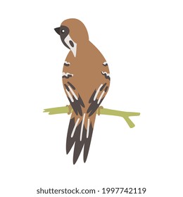 Sparrow as Brown and Grey Small Passerine Bird with Short Tail Sitting on Branch Vector Illustration