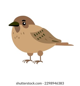 Sparrow - cartoon bird portrait. Hand drawn vector illustration isolated in white. Flat color design.