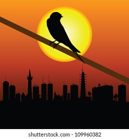 sparrow with city in background vector illustration