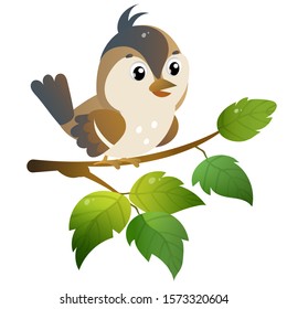 Sparrow. Color image of cartoon bird on branch on white background. Vector illustration for kids.