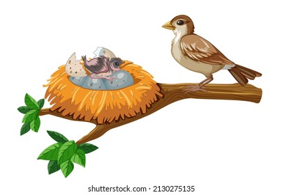 Sparrow and eggs on the branch illustration