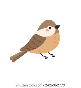 Sparrow in flat style on a white background. Spring cute bird for your design.