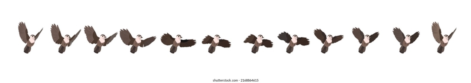 Sparrow flight animation. Vector frames.