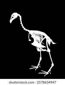 Sparrow hawk vector silhouette illustration isolated on black background. Bird skeleton body structure symbol. Anatomy and biology science object. Sparrowhawk shape.