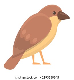 Karikaturvektor mit Sparrow-Symbolen. Baumvogel. Flug-Haus