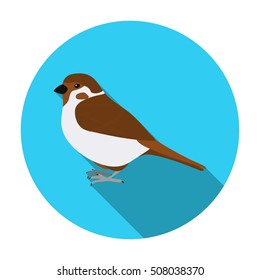 Sparrow icon in flat style isolated on white background. Bird symbol stock vector illustration.