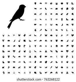 Sparrow icon illustration isolated vector sign symbol. animals icon set for web and mobile.