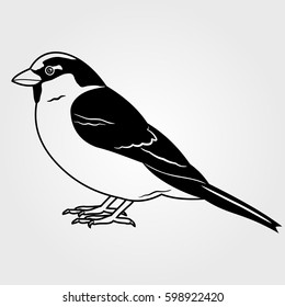 Sparrow icon isolated on white background.