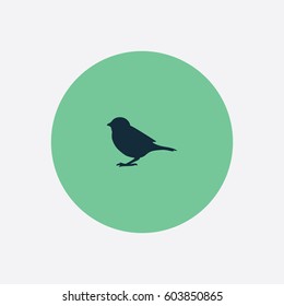 Sparrow icon silhouette vector illustration

