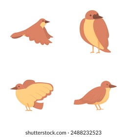 Sparrow icons set cartoon vector. Cute cheerful brown sparrow. Little bird