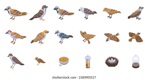 Sparrow icons set isometric vector. Fly bird. Dove house