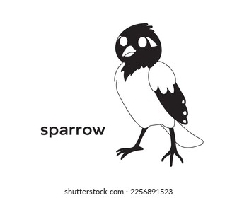 sparrow isolated vector Silhouettes on white background 