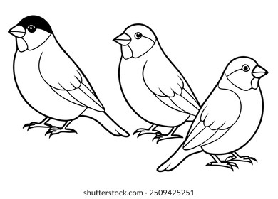 a sparrow with lainar vector lllutration