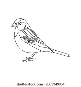 Sparrow Line Drawing Clip Art 