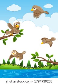 Sparrow in the nature illustration