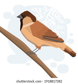 A sparrow on a branch. Vector graphics.