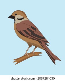 Resplandor encaramado en una percha. ilustración vectorial
