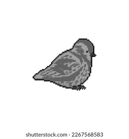 Sparrow pixel art. 8 bit Small bird. Vector illustration.