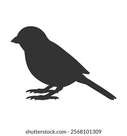 Sparrow Silhouette Illustration, Small Bird Sketch, Isolated