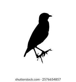 
Sparrow silhouette vector illustration isolated on white. Symbol of a small city bird.