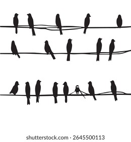 Sparrow silhouettes on power line wires. City urban birds sitting resting on electrical energy wires or telephone cables. Wildlife ecology design. Black and white flat style. Isolated vector on white