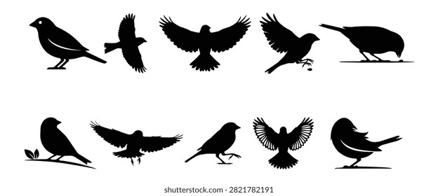 Sparrow Silhouettes Set Vector - Flying, Standing, and  Feeding Small Songbirds Black Icons for Logo and Graphic Design